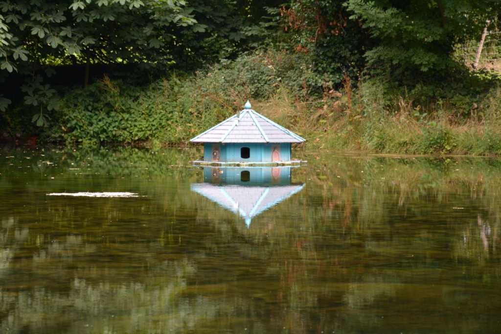 DSC_5540Mittel_.JPG